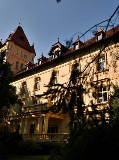 ZAMEK BORKÓW W OSIECZNEJ