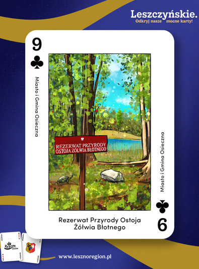 48. Rezerwat Przyrody Ostoja Żółwia Błotnego